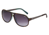 Sting SS6477 Sunglasses - Optic Butler
 - 4